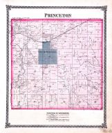 Princeton, Bureau County 1875